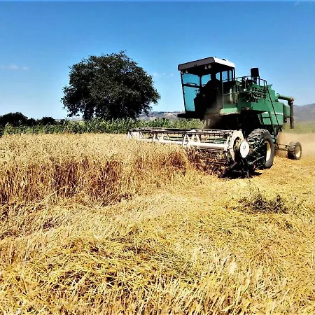 Agriturismo Paglialonga * Sartano