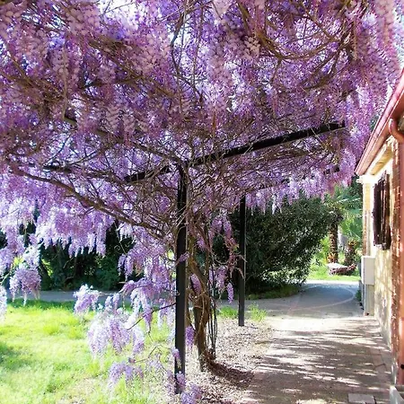 Agriturismo Paglialonga Farma *
