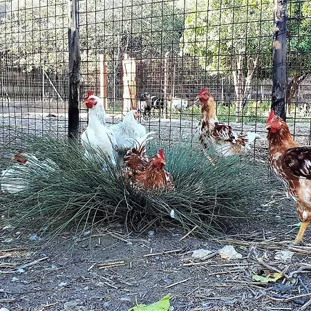 Agriturismo Paglialonga Sartano